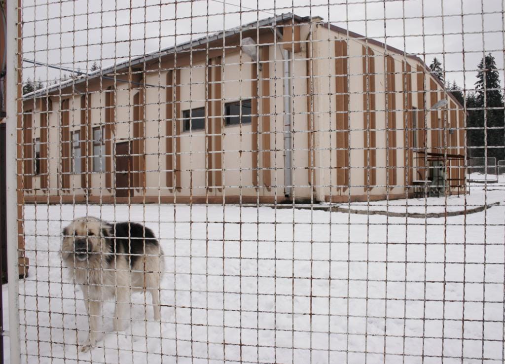 P16_International_04