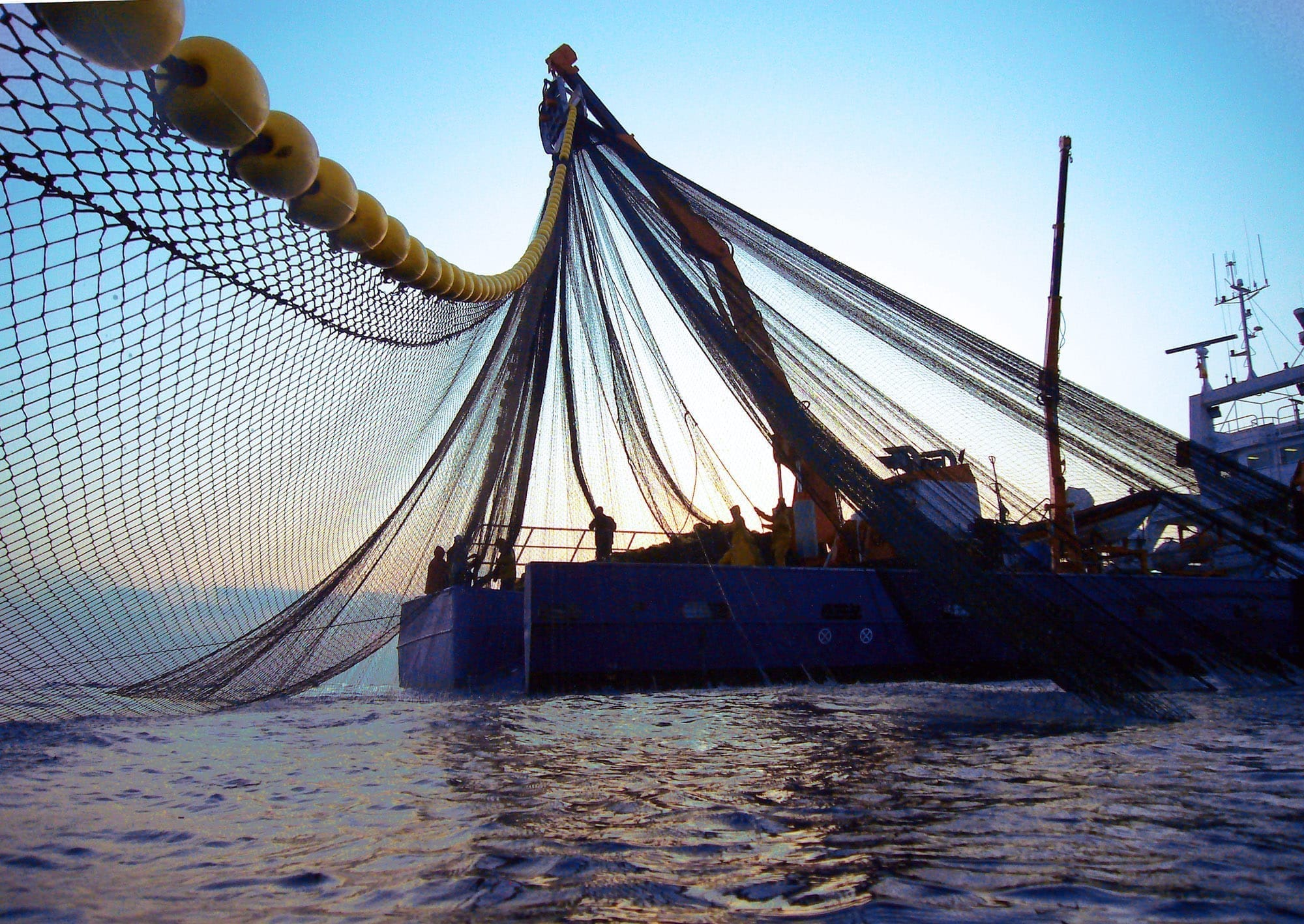 Izvor: Felix Sanchez, biolog mora, Madrid