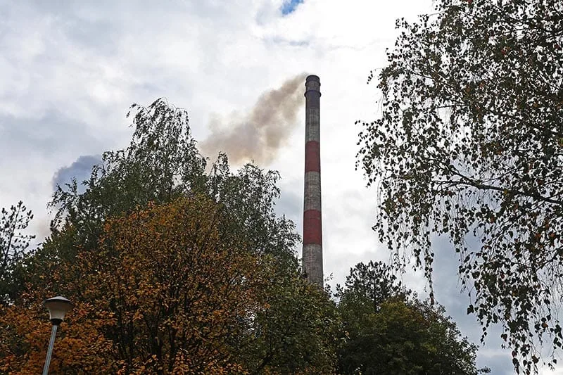 dimnjak