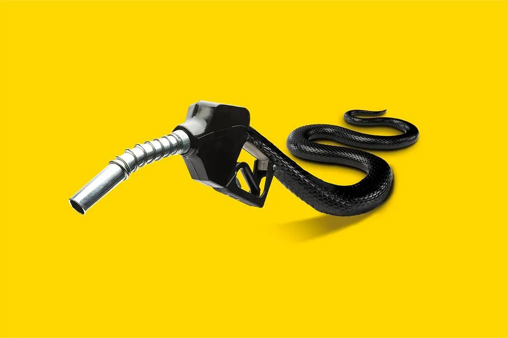  Credit: De Tijd (Graphics) and Frank Schulpé
