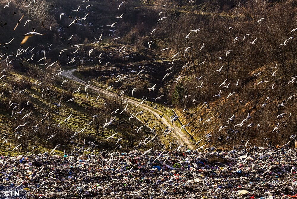 Deponija-Smiljevici.