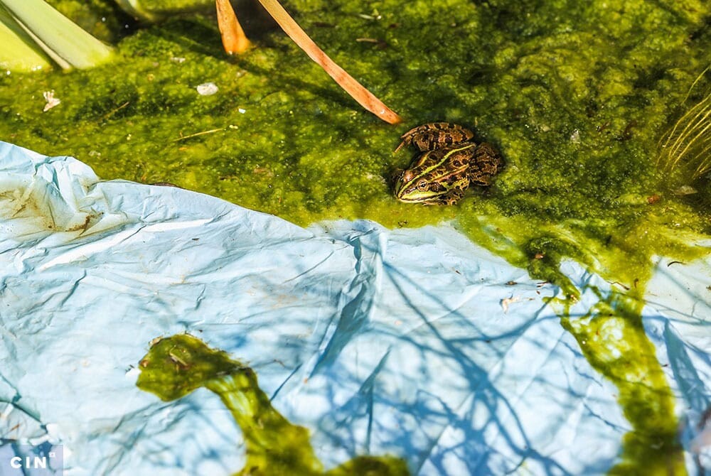 Drenazni-kanal-uz-kalesijsku-deponiju