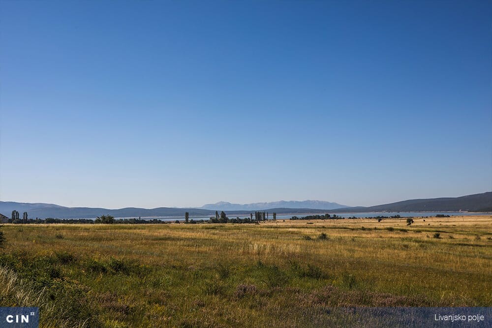 Livanjsko-polje